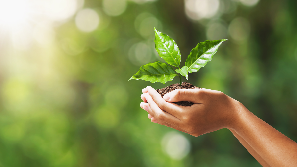 Sustentabilidade Ambiental – Mobilizar, Observar e Operacionalizar C0010